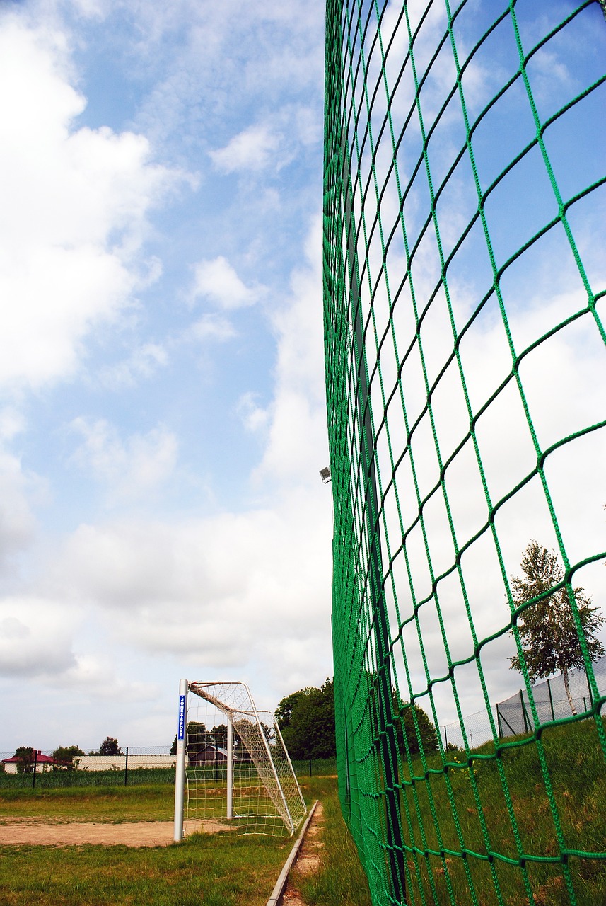 才能在日益 才能在日益