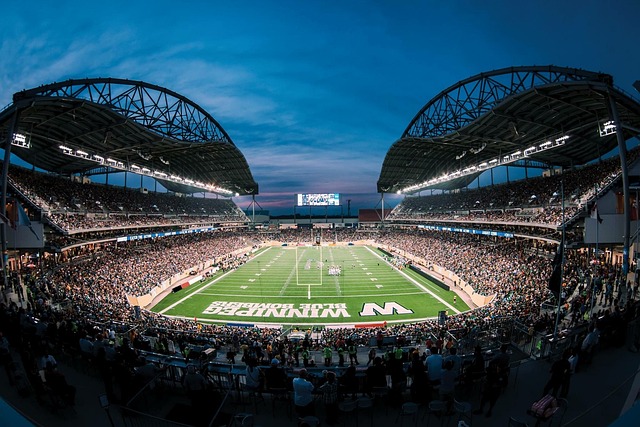 素质和技战 素质和技战