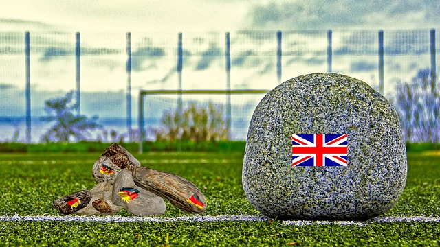 决策和调整 决策和调整