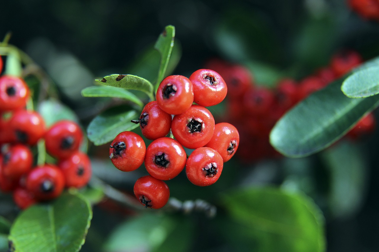 业生涯产生 业生涯产生