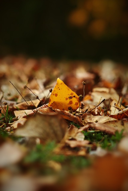 的传奇人物 的传奇人物
