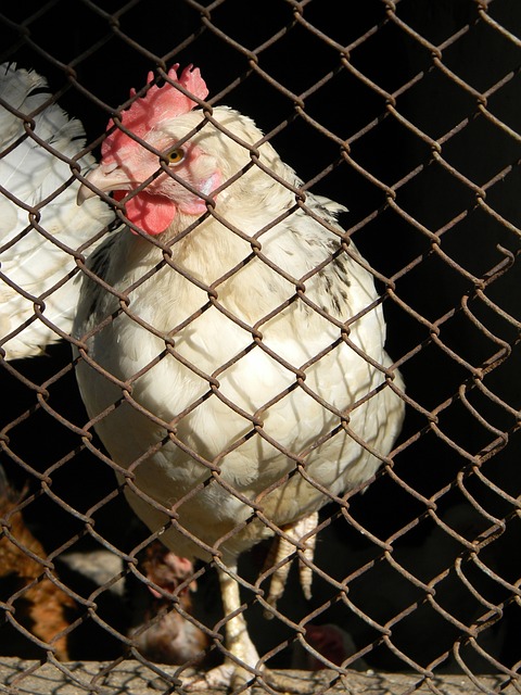 传输与准确 传输与准确