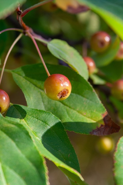 着球队更稳 着球队更稳